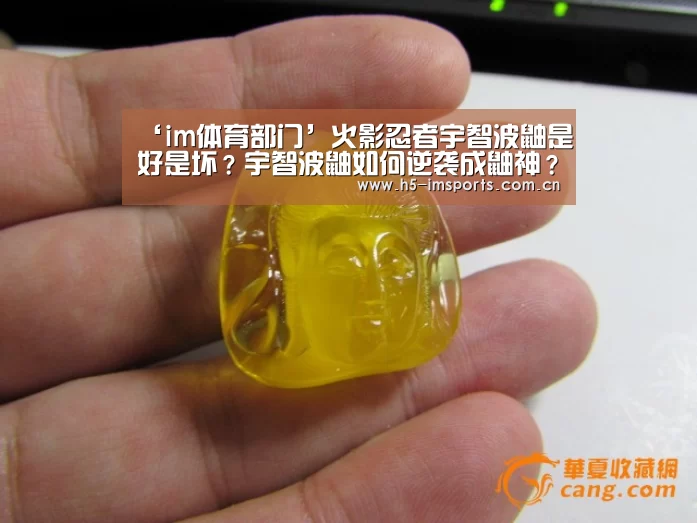 im体育中心