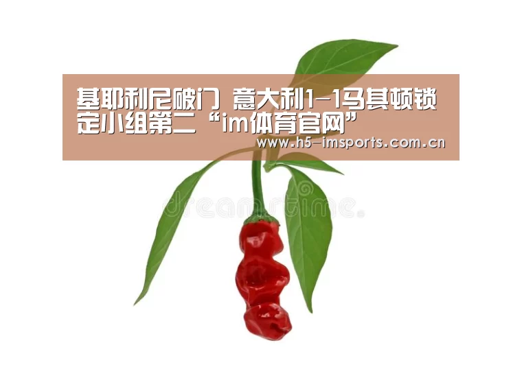 im体育中心