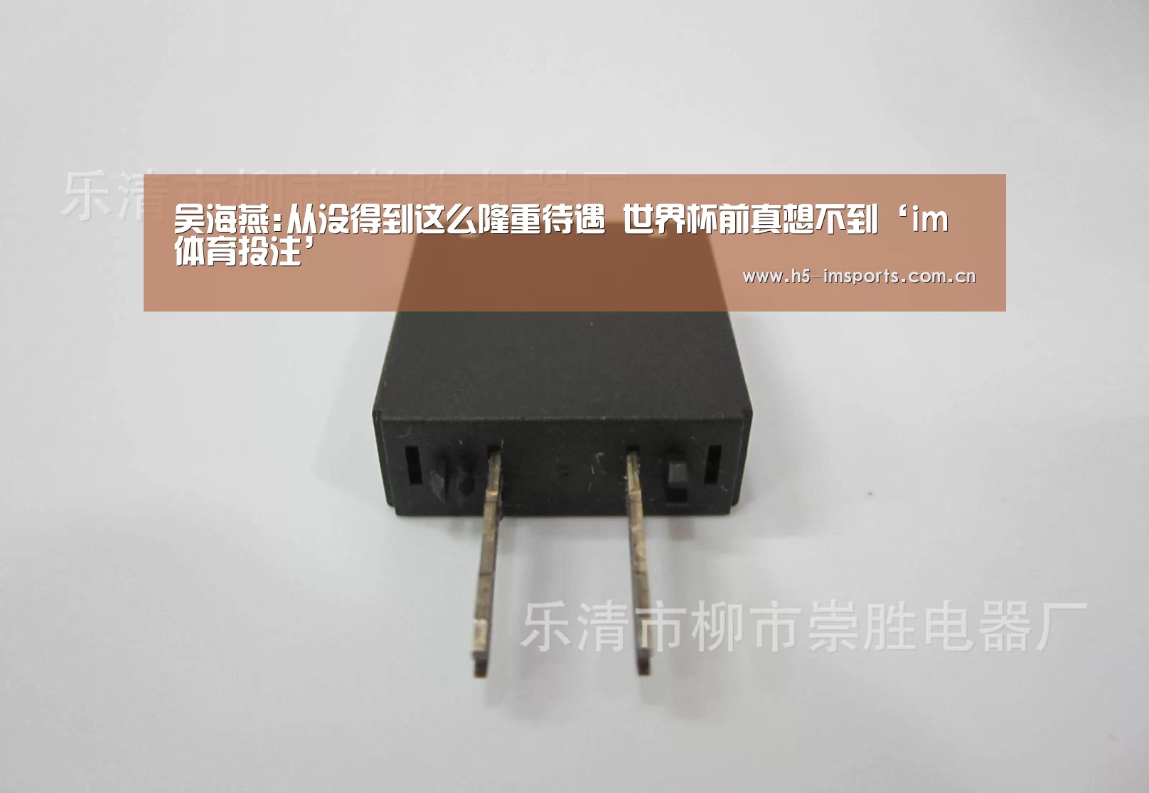 吴海燕:从没得到这么隆重待遇 世界杯前真想不到‘im体育投注’(图4) im体育官网