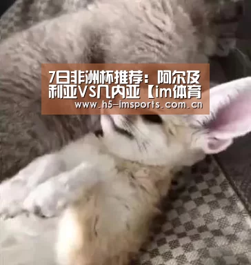 im体育部门