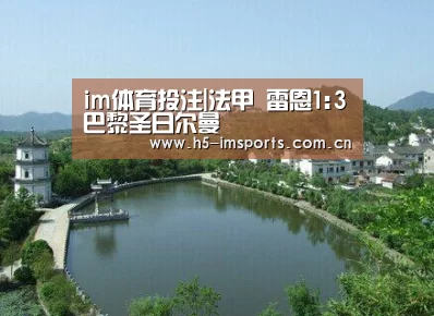 im体育部门