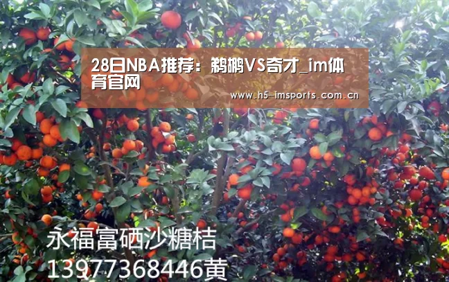 28日NBA推荐:鹈鹕VS奇才_im体育官网(图2) im体育投注