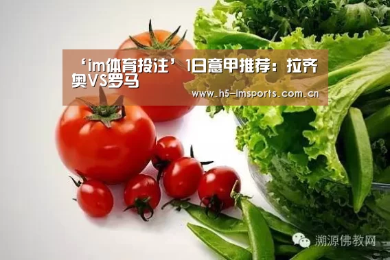 im体育官网