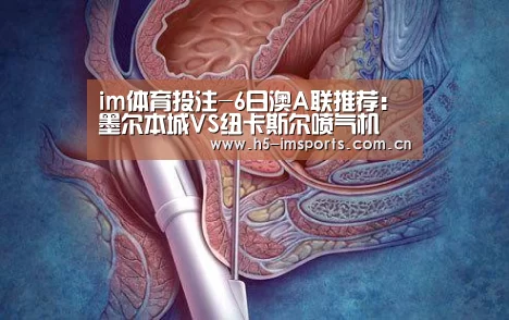 im体育投注-6日澳A联推荐:墨尔本城VS纽卡斯尔喷气机(图1) im体育部门