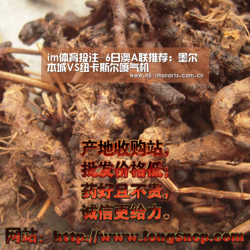 im体育投注-6日澳A联推荐:墨尔本城VS纽卡斯尔喷气机(图2) im体育投注